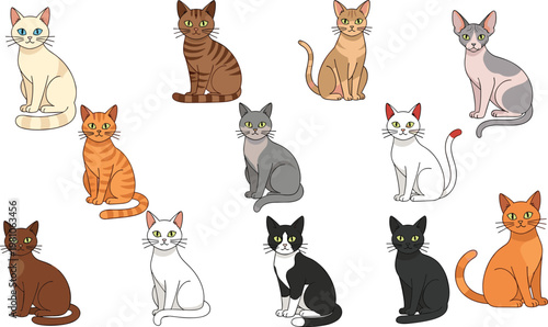 Sitting Domestic Cat Breed Vector Collection Featuring Sphinx, Tuxedo, Calico, Siamese, and Tabby Cats for Pet Care and Feline Character Designs