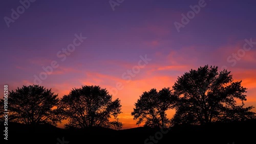 Silhouette of Trees Against a Dramatic Sunset Sky