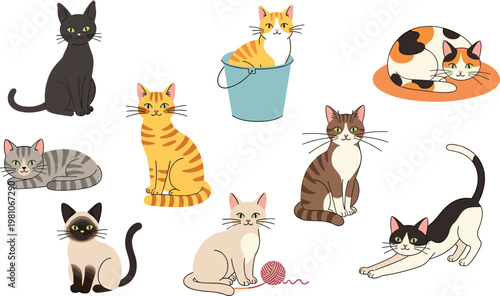 Vector Set of Various Cat Breeds and Poses Including Siamese Tabby and Calico Kittens Playing with Yarn and Sitting in Buckets for Pet Care Graphic Designs