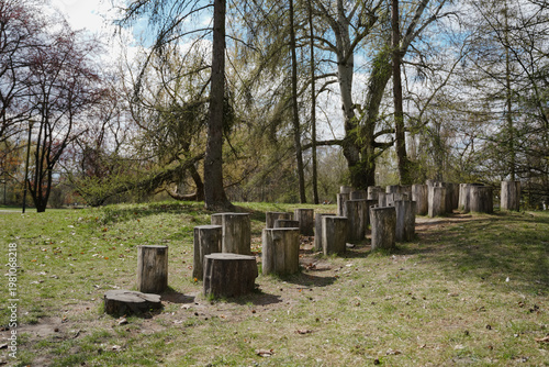 Natural wooden stepping stumps arranged for balance on a grassy park slope under tall spring trees