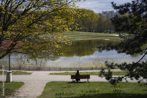 Person sitting on a wooden bench overlooking a calm pond in a sunny urban park during spring