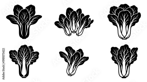 bok choy silhouette vector set