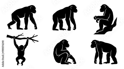 chimpanzee silhouette vector set