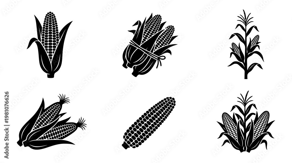 Obraz premium corn silhouette vector set