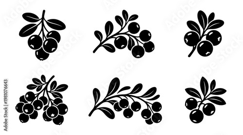 cranberry silhouette vector set
