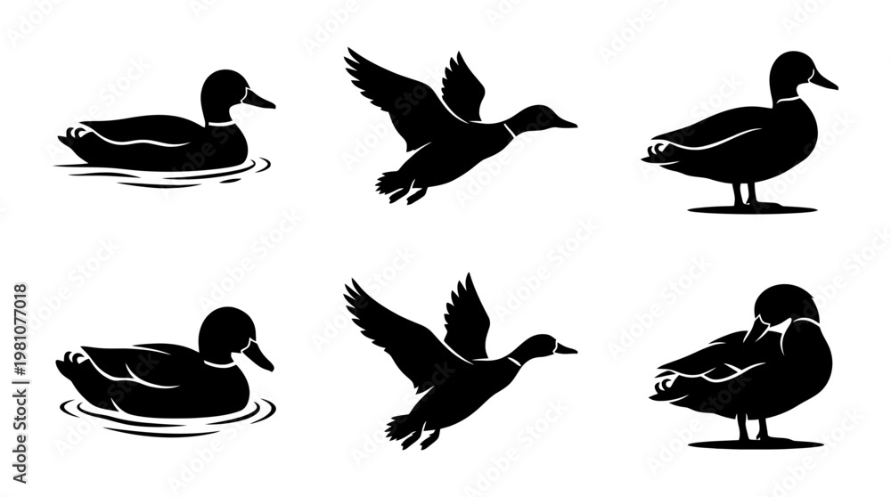 Obraz premium duck silhouette vector set