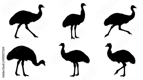 emu silhouette vector set