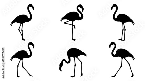 flamingo silhouette vector set