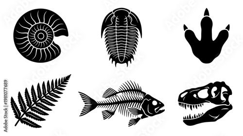 fossil silhouette vector set