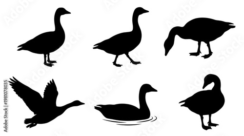 goose silhouette vector set