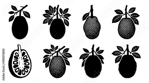 jackfruit silhouette vector set