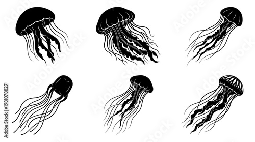 jellyfish silhouette vector set