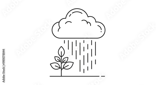 Plant growing in the rain shower.