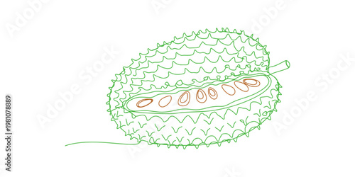 Soursop fruit line art, detailed big fruit with seeds for coloring.