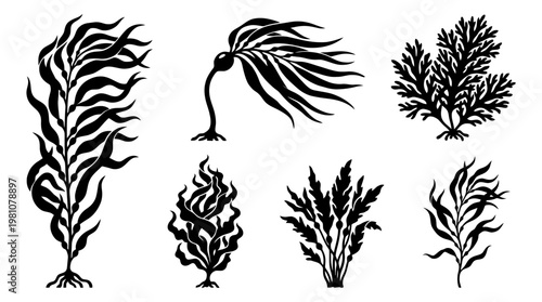 kelp silhouette vector set