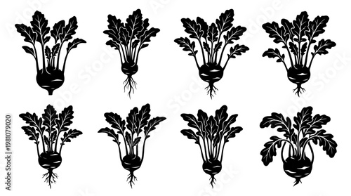 kohlrabi silhouette vector set