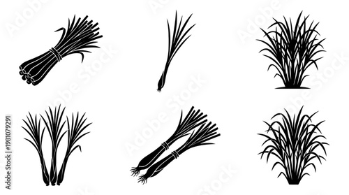 lemongrass silhouette vector set