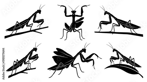 mantis silhouette vector set