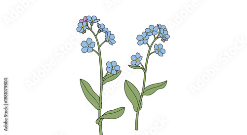 Two stems of charming blue forget-me-not flowers with tiny yellow centers and green leaves are shown on a white background.