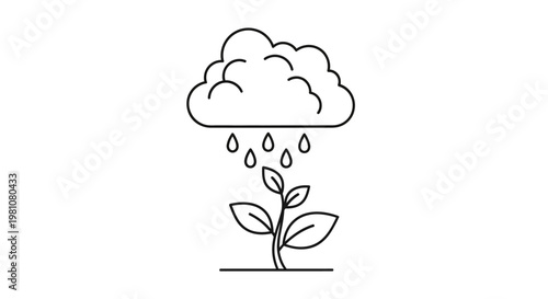 Plant Growing Under Rainy Cloudy Weather.