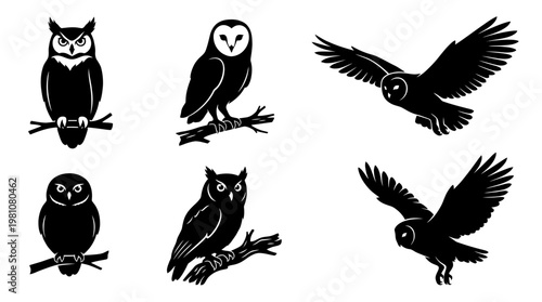 owl silhouette vector set