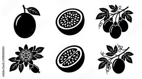 passion fruit silhouette vector set