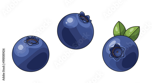 Three plump blueberries are shown in a clean illustration style including one berry with green leaves on a white background.