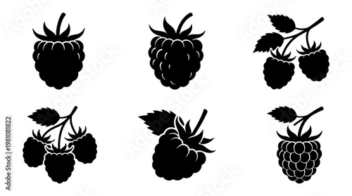 raspberry silhouette vector set