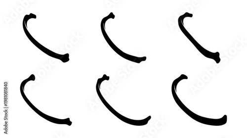 rib silhouette vector set