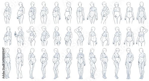 Set of 50 Pregnant Women Body Types Line Art Vector Illustrations