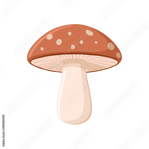 Illustration of a single brown dotted mushroom with a light colored stem and gills
