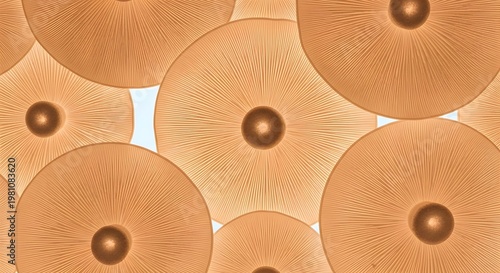 Copper metallic circles with radial lines and concave centers