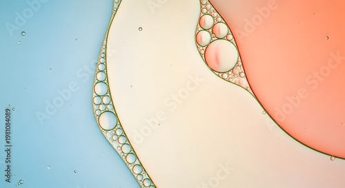 Oil droplets on colored liquid surface tension bubbles