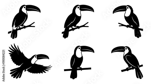 toucan silhouette vector set