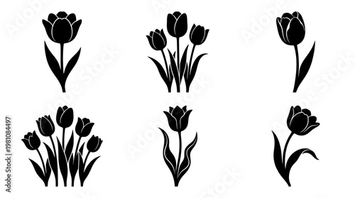 tulip silhouette vector set
