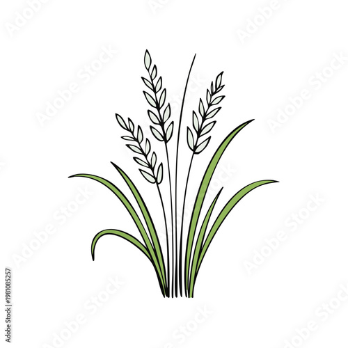 Simple Line Drawing of Wheat Stalks and Green Leaves in a Hand Drawn Style