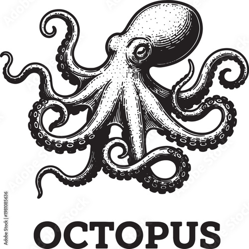 Detailed vintagestyle black and white octopus illustration with swirling tentacles and suction cups for marine life and ocean themes