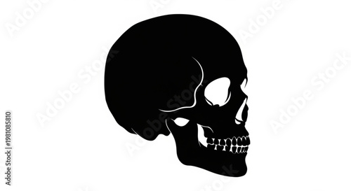 black and white human skull vector 
