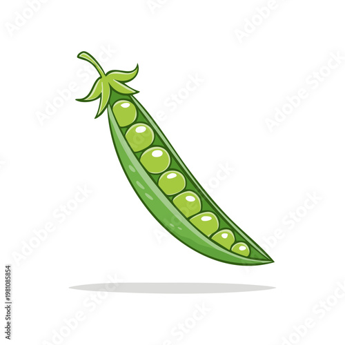 Fresh green pea pod bursting with ripe peas, isolated on white background
