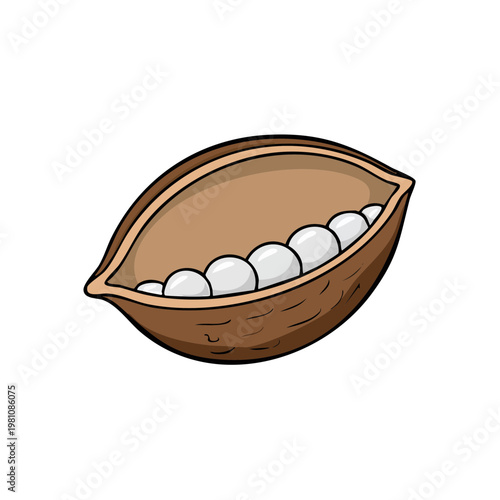 Stylized illustration of a cocoa pod opened to reveal white beans inside