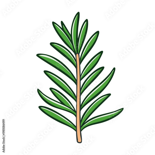 Green rosemary sprig with detailed leaves and a light brown stem, hand drawn illustration style