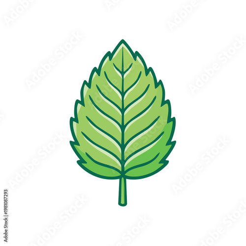 Vibrant green mint leaf illustration with detailed veins and stem