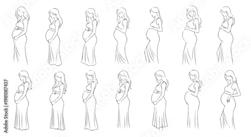 Set of 14 Pregnant Woman Line Art Illustrations