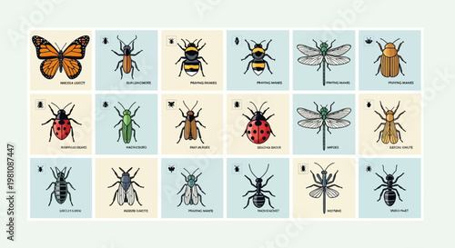 Insect Illustration Collection: A vibrant compilation showcases diverse insect illustrations, ideal for educational or decorative purposes.