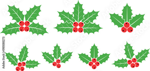 Holly Berries and Leaves Icon Set for Christmas, Winter Holidays, and Seasonal Decor Designs