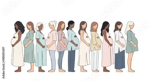 Diverse Group of Pregnant Women Standing in a Row Vector Illustration