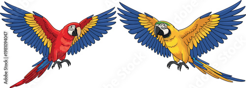 Colorful macaw parrot vector set with flying tropical birds blue yellow and red winged illustrations