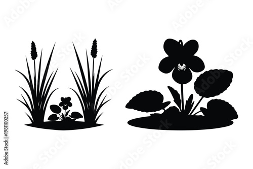 Silhouette of water plants and a single flower with silhouette, botanical