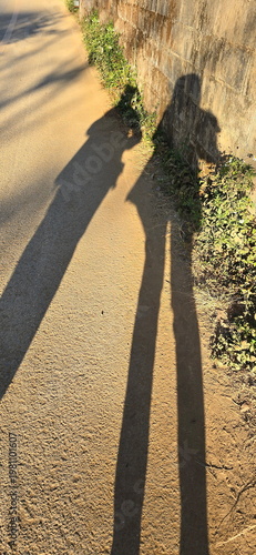 Cuadro en lienzo The shadows cast from behind two women in the early morning or evening before sunset are longer than usual