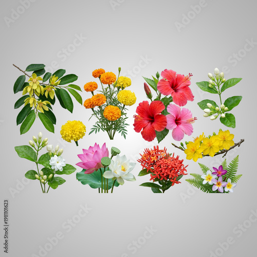 Vibrant Collection of Various Colorful Tropical Flowers Isolated on a Plain Neutral Gradient Background